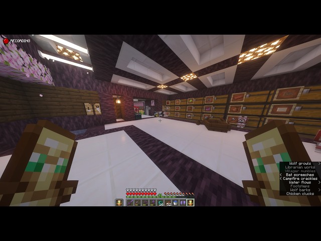 Minecraft With Viewers | SkeleSMP