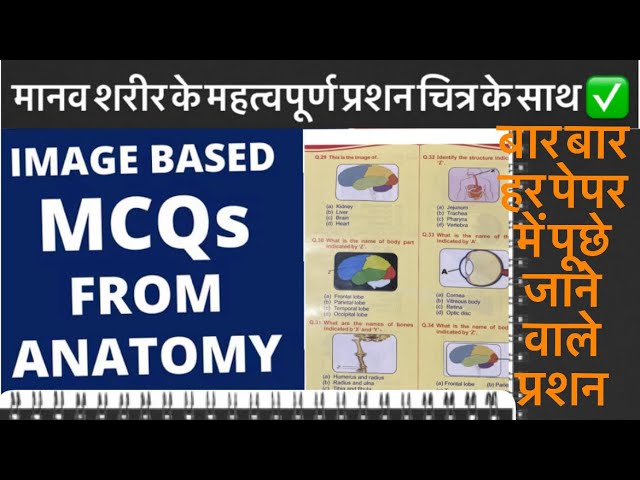 Anatomy&Physiology with images explain in hindi/हिंदी ✅ #topmcqs #nursingmcqs#Allexamsstudymcqs#mcqs