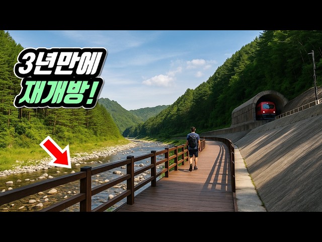 The Most Wonderful remote area Trail Course in Korea