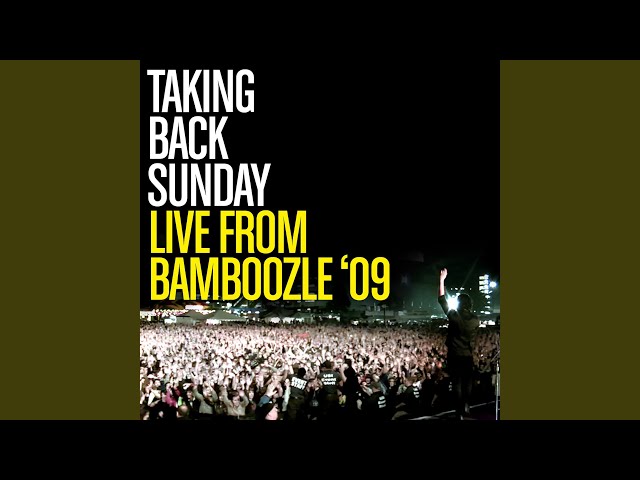 MakeDamnSure (Live At Bamboozle, East Rutherford, NJ / 2009)