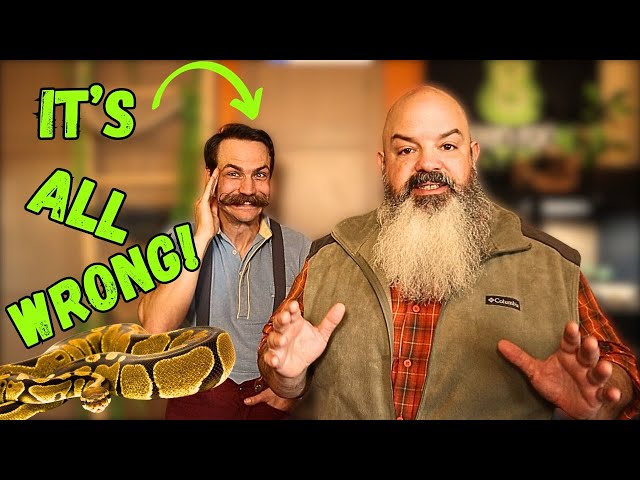 HELP! He's Keeping His Ball Python All Wrong