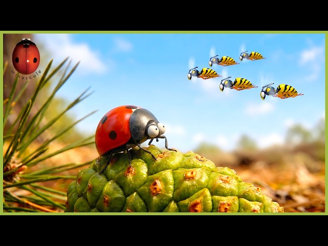 Acrobatics | Minuscule | 25' Compilation