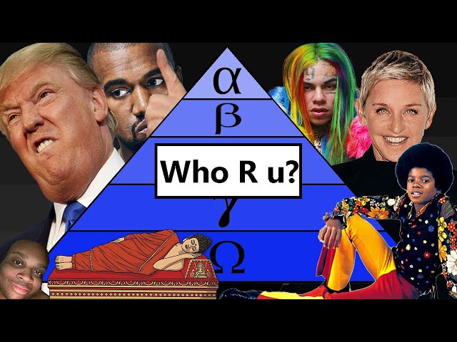 The Guide to Life (aka The Social Hierarchy)