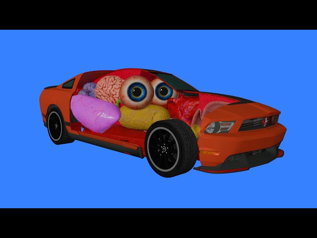 How a Car works