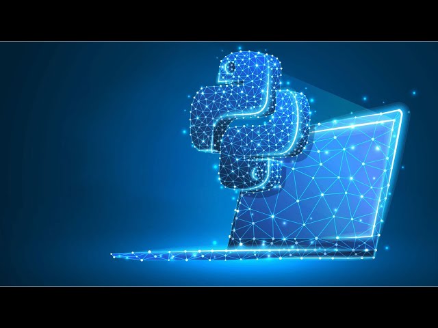 Everything You Need to Know About Python Programming