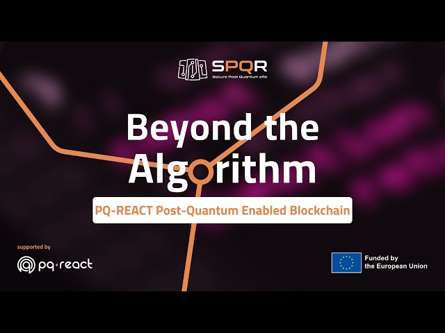 Beyond the Algorithm Reflections: The Post-Quantum Enabled Blockchain Pilot