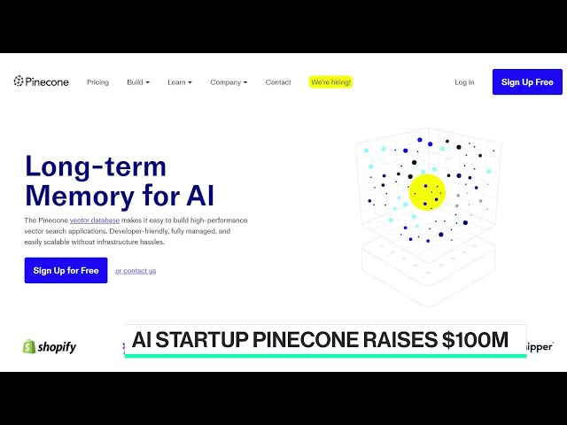 Pinecone and the Rise of Vector Databases