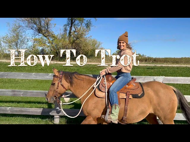 Lesson 5: How To Trot (Do's and Don'ts)