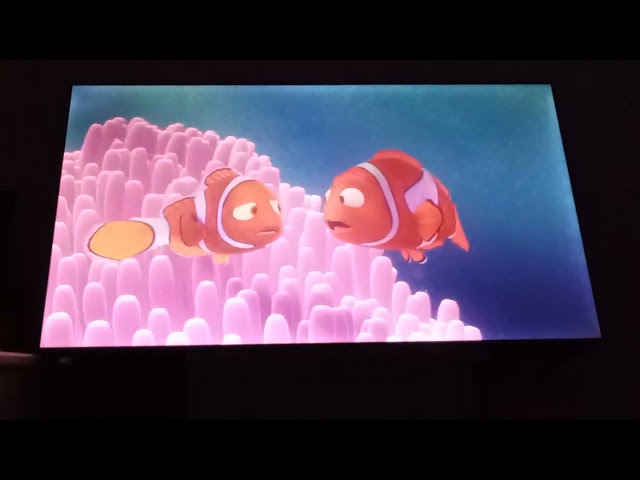 Finding Nemo (2003) Opening Scene (Paramount/Nick Jr. Version)
