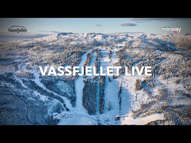 Vassfjellet LIVE
