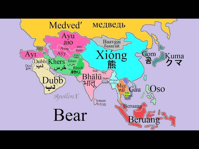 Wild Animals | Asian Languages Comparison