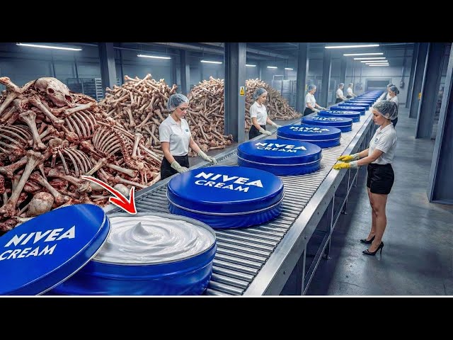 “Inside Raw Factory: From Millions of Animal Bones to Luxury Creams – Full Factory Process”