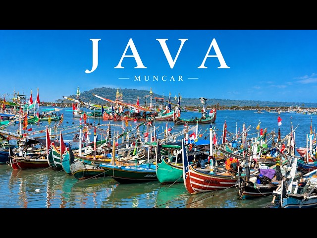 JAVA - Muncar