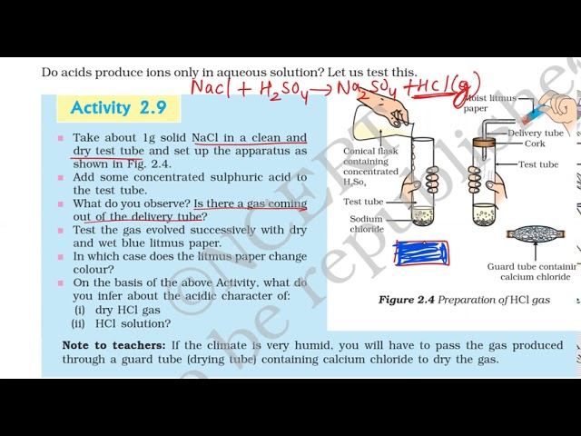 Activity 2.9 Class X  Science Ch 2 Acid bases and Salts CBSE Ncert