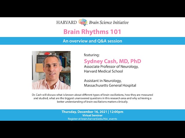 Brain Rhythms 101