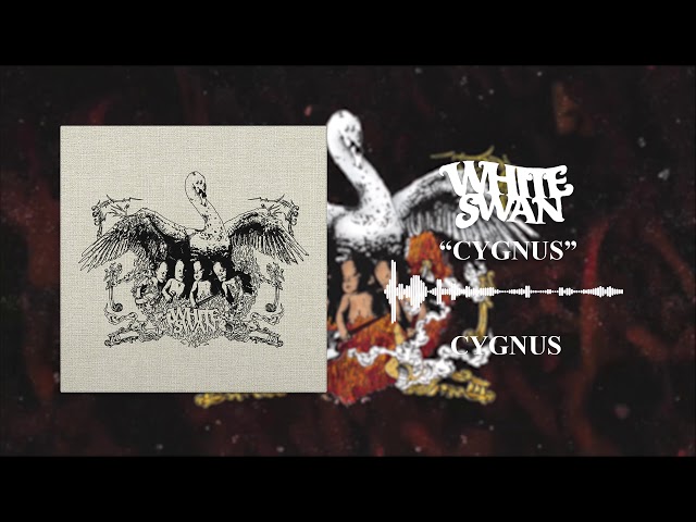 White Swan - Cygnus (Official Audio)