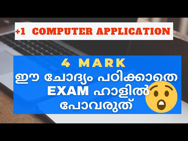 Plus one computer application focus area | chapter 4 | Structure of C++ #c++ #computerapplication