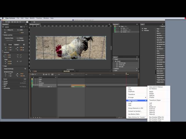 Edge Animate Introduction