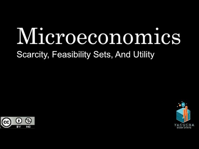 Scarcity Choice and Utility