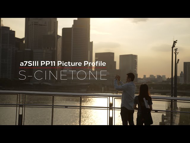 Sony a7SIII S-Cinetone Cinematic Vlog (Picture Profile PP 11)