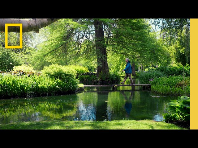 Exploring Regenerative Farming Practices at Waitrose Farms | National Geographic