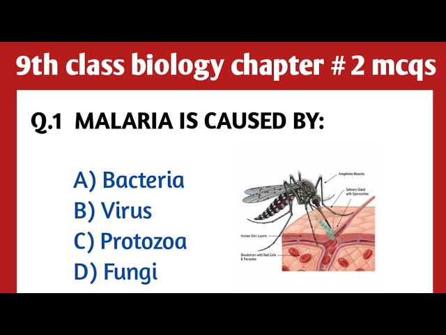Biology Chapter 2 Quiz | Solving a Biological Problem | Scientific Method & Malaria MCQs