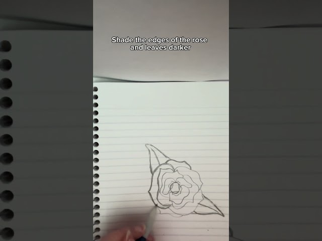 How To Draw A Rose Tutorial✨(Requested) #drawingrose #drawing #tutorial #drawingtutorial