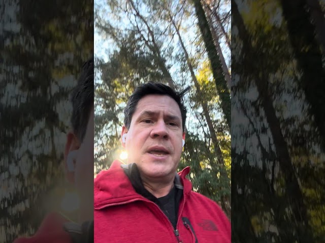 This Week at FINOS Dec 2, 2024  #financialservices #opensource