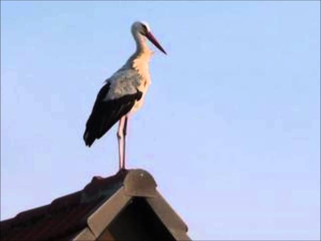 Techno / Deep House DJ Mix by Adebar "Morphius # 1"