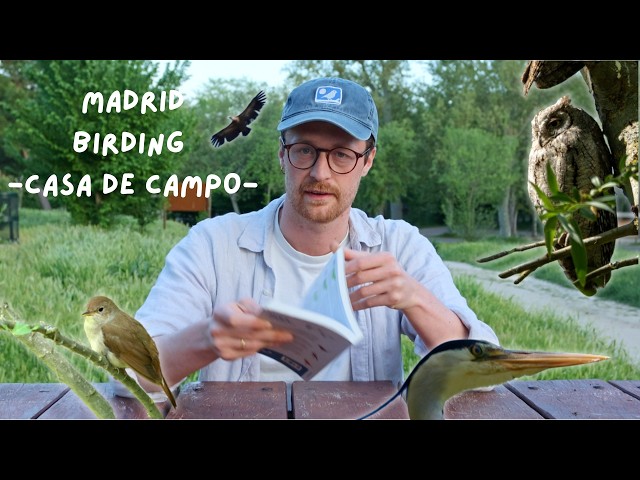 Best Birding Spots in Madrid | Casa de Campo