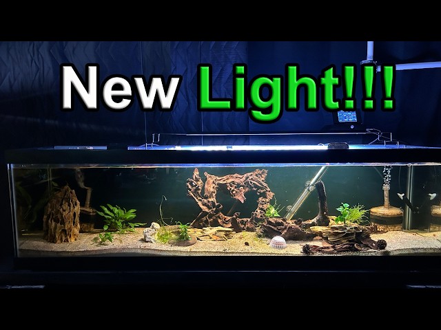 Best Smart LED? Hygger Aquarium Light with TDS & Temp Probe