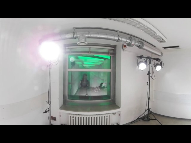 Shocking Shorts 2017