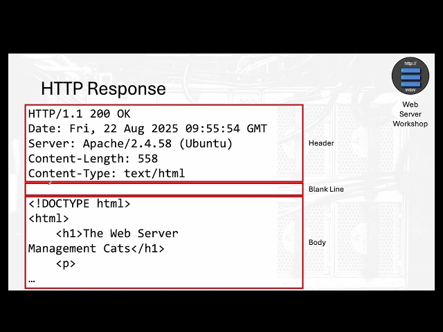 HTTP Protocol Basics – Understanding Requests and Responses