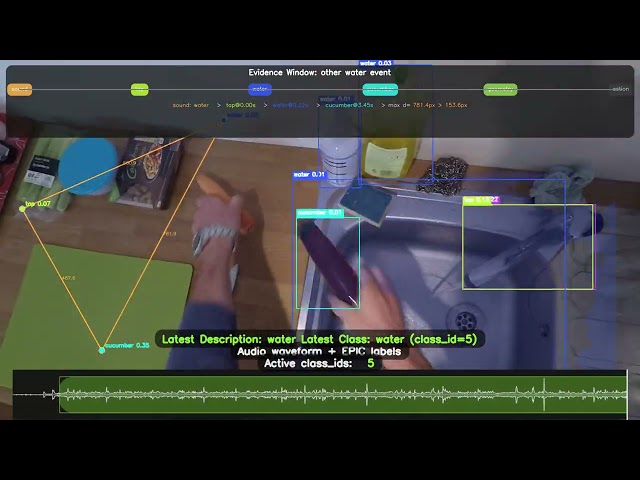 Audio-Visual Event Recognition Demo — Washing a Cucumber