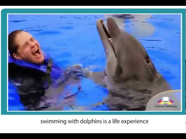 11 ASPECT  Module 2  Video 3  Dark side of Dolphins  SB p28