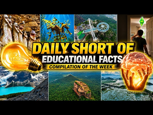 Weekly Recap: The Most Incredible Facts You Missed 😳 (#019)