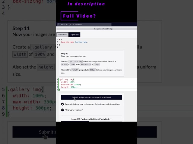 🌐 Responsive Web Design Preview 🌐 Photo Gallery 🌐 10,11,12 🌐 #freecodecamp #html #css #om