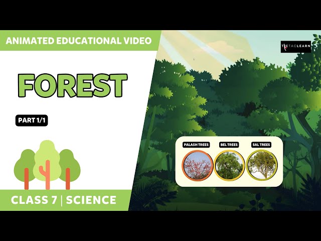 Forest - Our Lifeline | Part 1/1 | Class 7 Science Chapter 17 |  TicTacLearn English