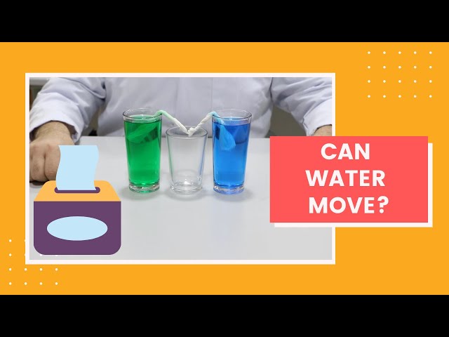 TRANSFERRING WATER WITH TISSUE PAPER I YOU CAN DO AT HOME I CAPILLARY ACTION