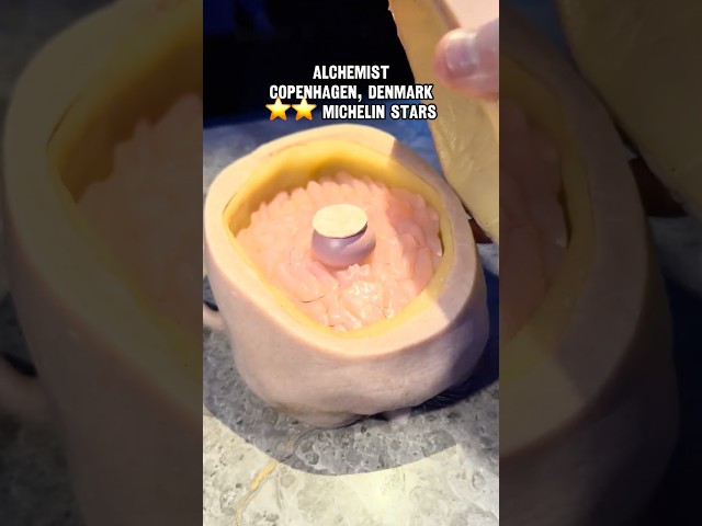 EATING BRAINS AT THE WORLD'S MOST EXCITING RESTAURANT Two Michelin Star Alchemist