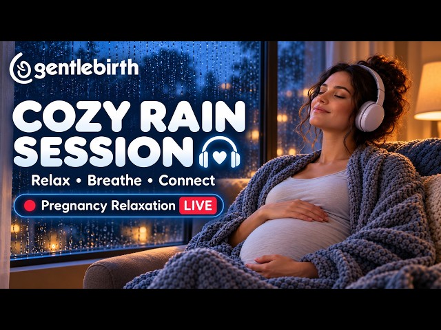 🌧️ Live Rain ASMR | Relaxation for the day