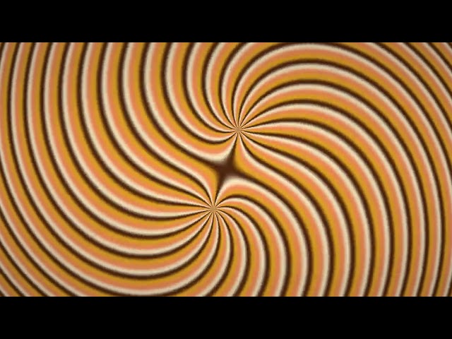 Julia butterfly goldenhour 4k Visual Loop | Python + Taichi CUDA | 60 FPS