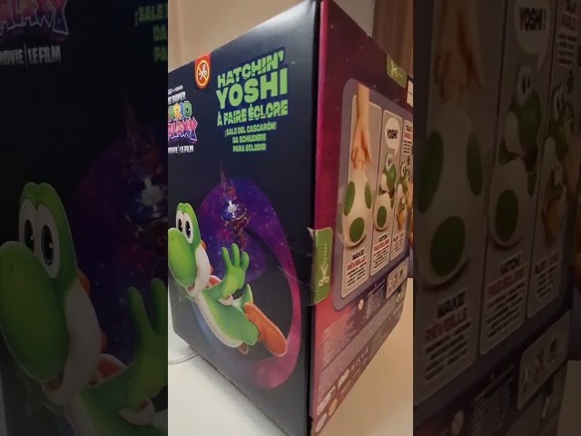 Finally, the Yoshis are home! 🦖🏠 #yoshi