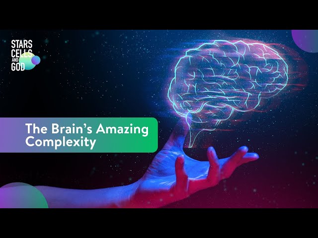 The Brain’s Amazing Complexity | Fazale "Fuz" Rana and Uditha Jayatunga