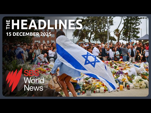 Bondi Beach massacre victims mourned | Gun law debate reignites | Global Hanukkah safety concerns