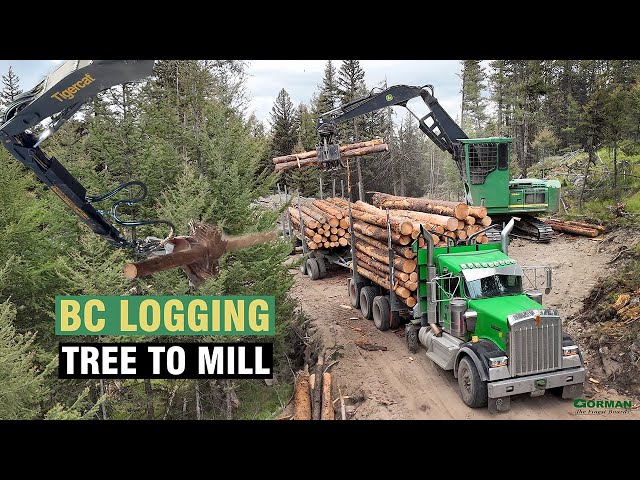 Tree to Mill. A look at logging with Gorman Mill in West Kelowna.