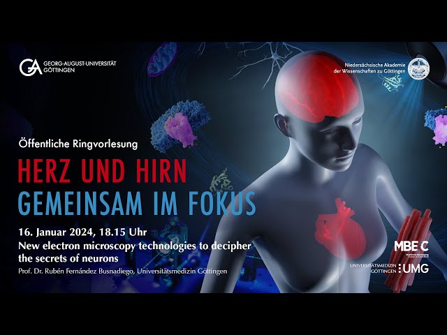 New EM technologies to decipher the secrets of neurons I Prof. Dr. Rubén Fernández-Busnadiego