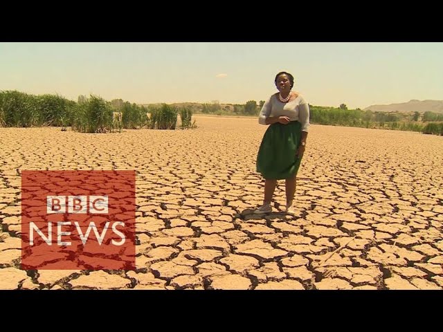 Worst drought in 30 years hits Sout Africa  - BBC News