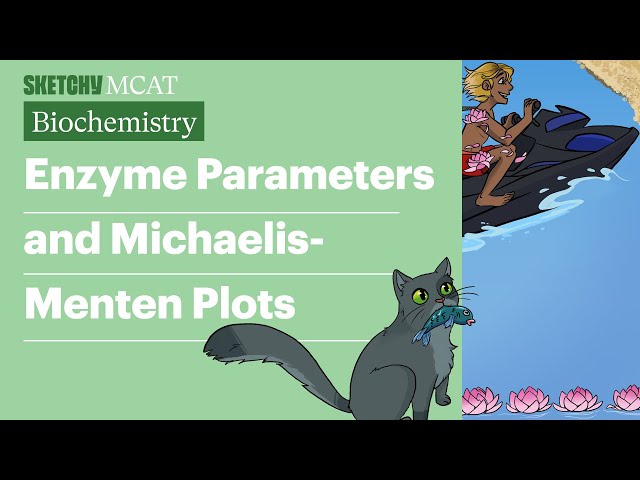 Enzyme Parameters and Michaelis-Menten Plots (Biochemistry) | Sketchy MCAT