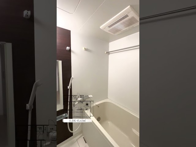 【Comfine Ebisu】恵比寿駅徒歩9分の1LDK／45.63㎡／2階 #内見動画#ルームツアー#不動産